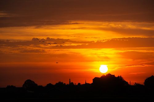 Gänse fliegen in den Sonnenaufgang