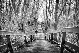 Stairs Cape Arkona by Florian Kampes