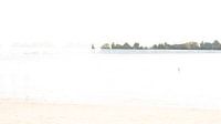 Movement and fog in a minimalist landscape