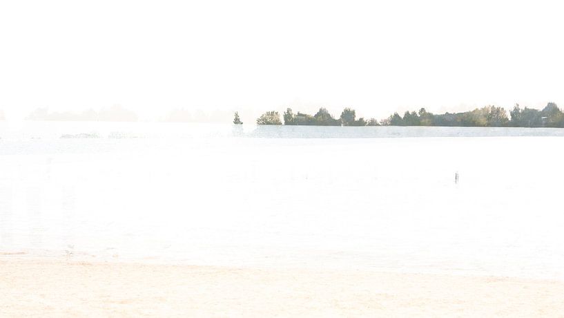 Movement and fog in a minimalist landscape by pauline smale