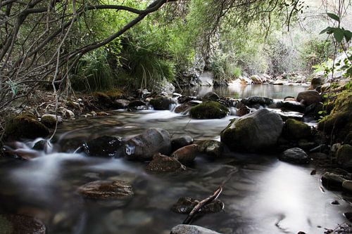 The Bosque River