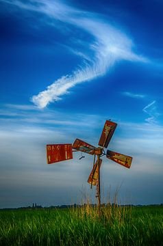 Windveren en windmolen van Sylvain  Poel