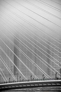 Schönes Schwarz-Weiß-Bild der Erasmus-Brücke