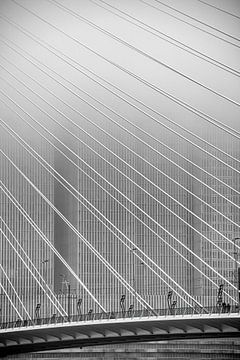 Beautiful black and white image of the Erasmus Bridge by Leon Okkenburg
