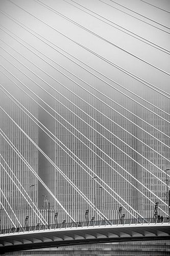 Prachtig zwartwit beeld van de Erasmusbrug