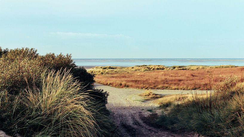 View through to the North Sea beach of Schiermonnikoog by Dan Photo Shaman