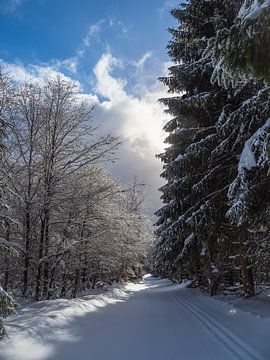 Landscape in winter in the Thuringian Forest near Schmied