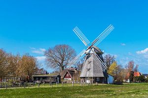 Historische Windmühle in Ahrenshoop auf dem Fischland-Darß