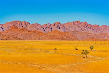 Landscape in Namibia's pristine countryside