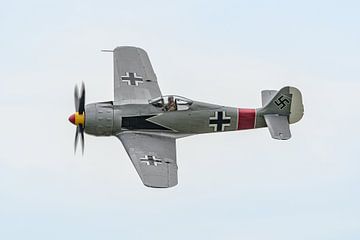 Flyby van een Focke-Wulf Fw-190-A8 replica.