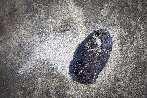 stranded on the beach