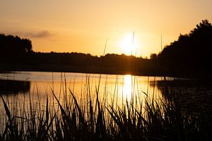 Sonnenaufgang Die Teut