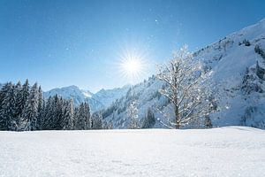 Winter im Kleinwalsertal von Leo Schindzielorz