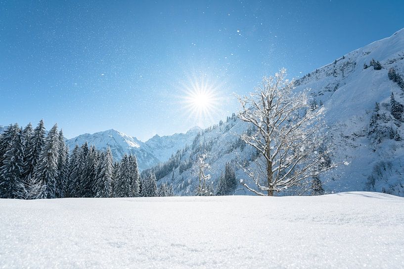 Winter in Kleinwalsertal by Leo Schindzielorz