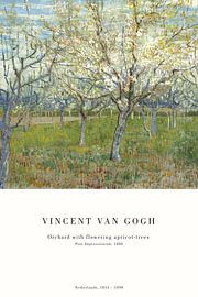 Vincent van Gogh - Orchard with Apricot Blossoms by Old Masters