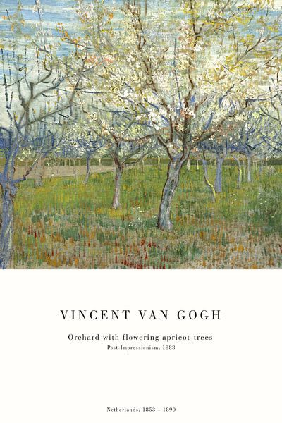 Vincent van Gogh - Boomgaard met abrikozenbloesems van Old Masters