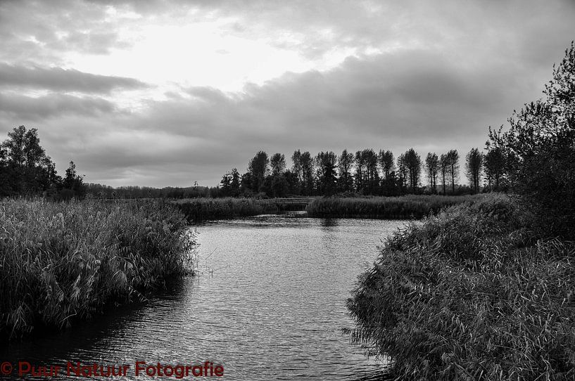 the lake black and white by Heleen de Silva