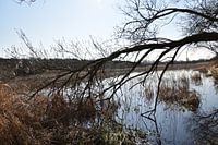 In de duinen