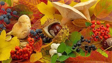 Herfstdecoratie gemaakt van bladeren, paddenstoelen en fruit van Michael Schuppich