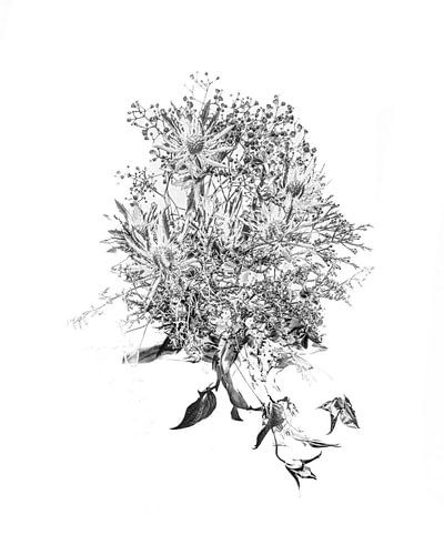 Bloemen explosie van Christop.nl