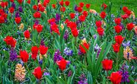 Bloemenbed