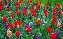 Bloemenbed van C.T. Lam