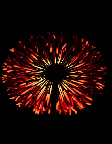 „Ember Allium I“
