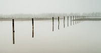 Maas uiterwaarden in de mist by Erik Wouters thumbnail