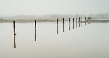 Maas uiterwaarden in de mist sur Erik Wouters