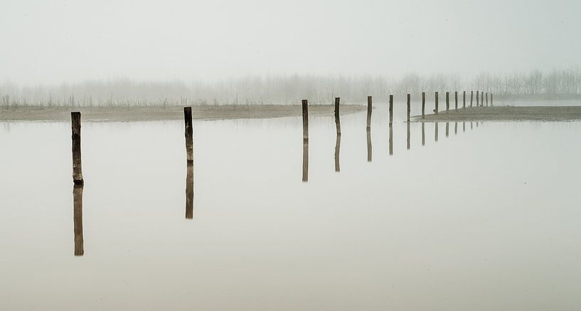 Maas uiterwaarden in de mist by Erik Wouters