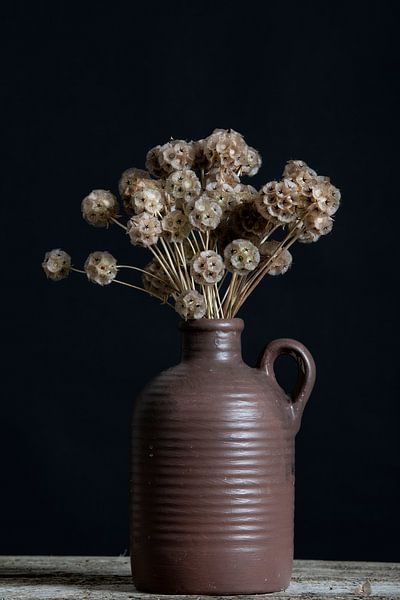 Scabiosa-Samenzwiebeln in Vintage-Vase von Anjo Kan