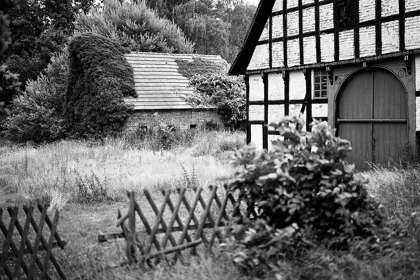 Motiv 1 – „Der alte Kotten“: Wo Erinnerungen Wurzeln schlagen von Momentaufnahme | Marius Ahlers