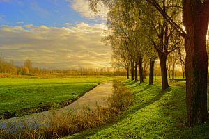 Biesbosch by Michel van Kooten