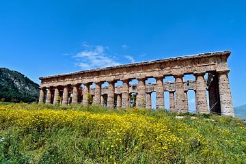 Segesta tempelruïnes op het eiland Sicilië van Silva Wischeropp