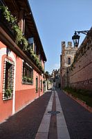 Les maisons roses