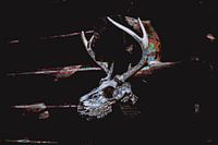 Totenkopf-Hirsch