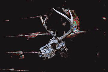 Skull deer by Monfrey Cavalier