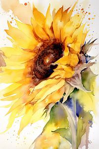 Sonnenblume