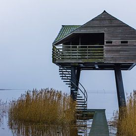 NIEUW STATENZIJL van Frank Brand