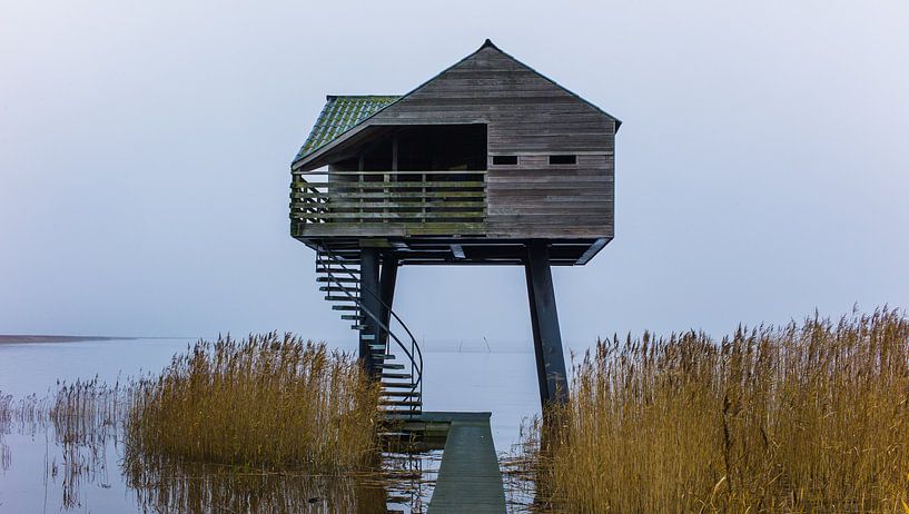 NIEUW STATENZIJL van Frank Brand