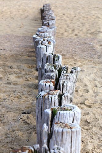 North Sea Coast in Holland