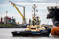 Ships in port. by scheepskijkerhavenfotografie thumbnail