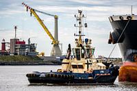 Sleepboten in de haven van IJmuiden