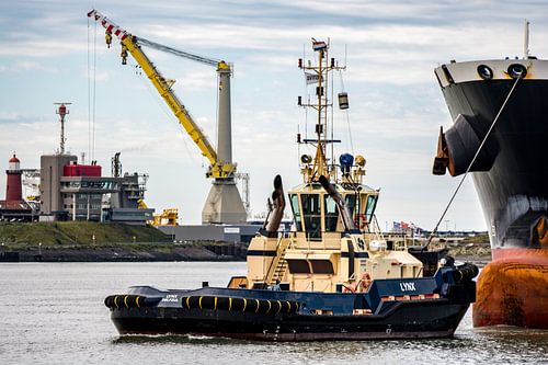 Sleepboten in de haven van IJmuiden