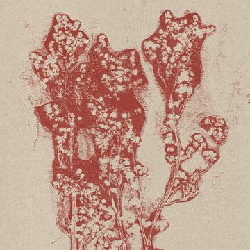 Terracotta bloemen. van Dina Dankers