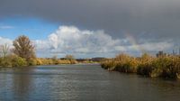 Regenboog in de Biesbosch