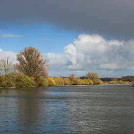 Regenboog in de Biesbosch van Esther van Nes