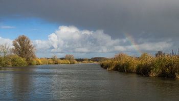 Regenboog in de Biesbosch