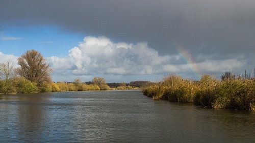 Regenboog in de Biesbosch