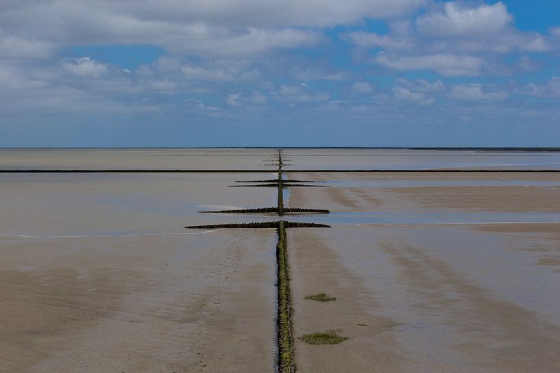 Wadden Sea by Apple Brenner
